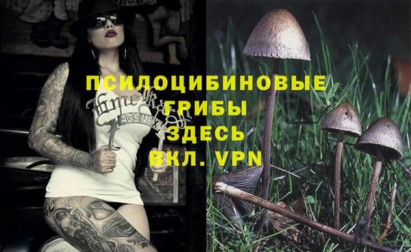 ECSTASY Михайловск