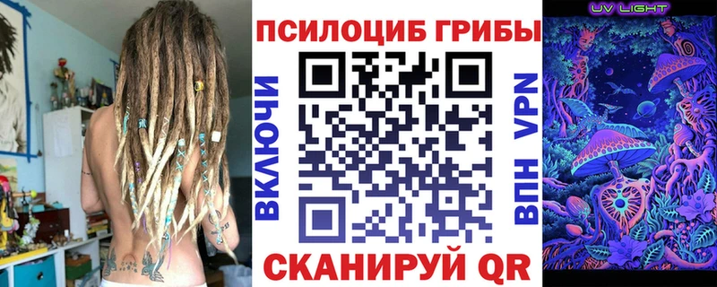 Галлюциногенные грибы Psilocybe  Шимановск 
